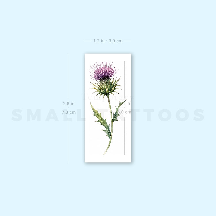 Small Watercolor Thistle Temporary Tattoo (Set of 3)