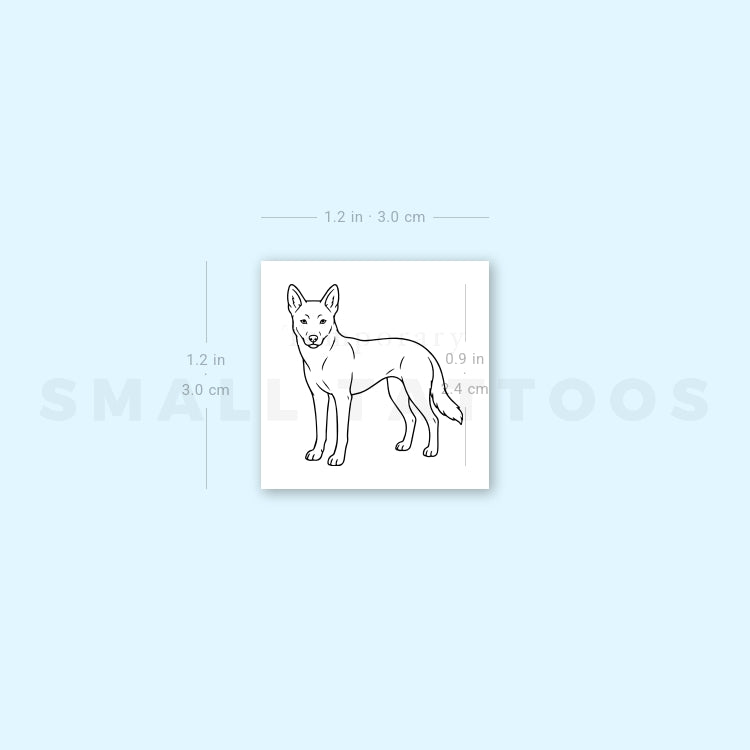 Dingo Temporary Tattoo (Set of 3)