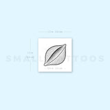 Conchiglie Pasta Temporary Tattoo (Set of 3)