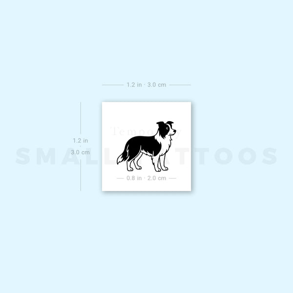 Black And White Border Collie Temporary Tattoo (Set of 3)