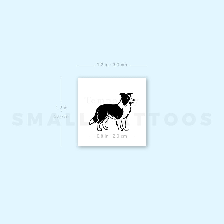 Black And White Border Collie Temporary Tattoo (Set of 3)