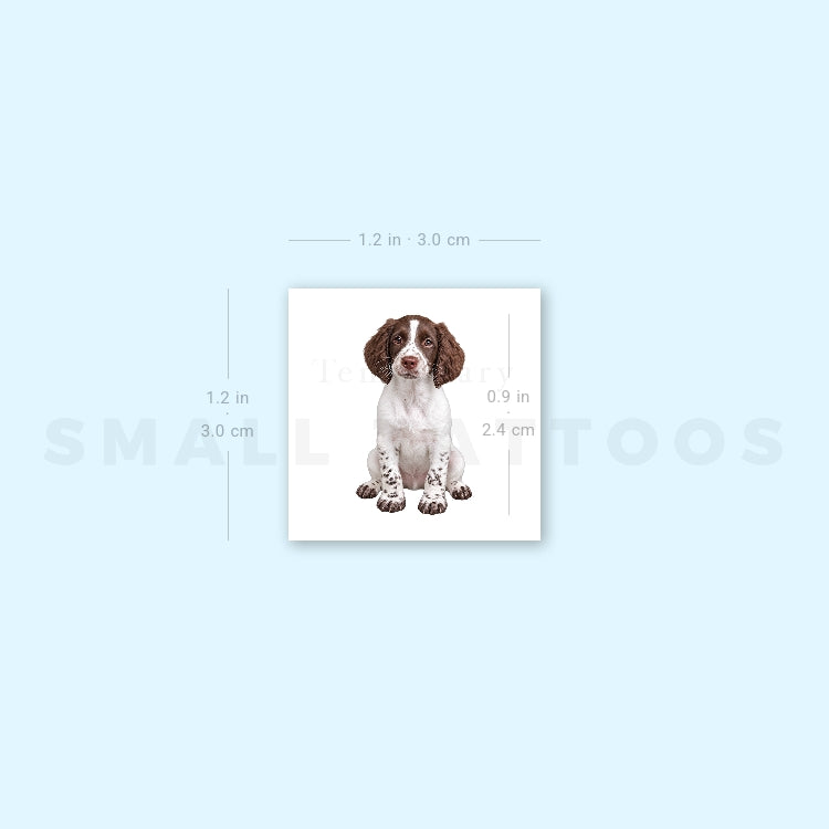 English Springer Spaniel Puppy Temporary Tattoo (Set of 3)