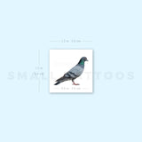 Rock Pigeon Temporary Tattoo (Set of 3)