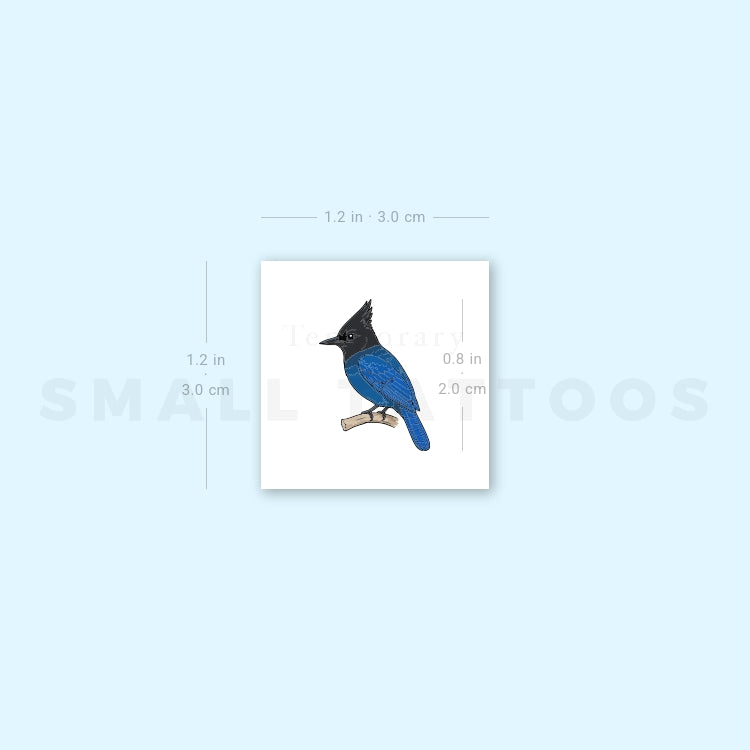 Steller's Jay Temporary Tattoo (Set of 3)