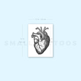 Engraving Anatomical Heart Temporary Tattoo (Set of 3)