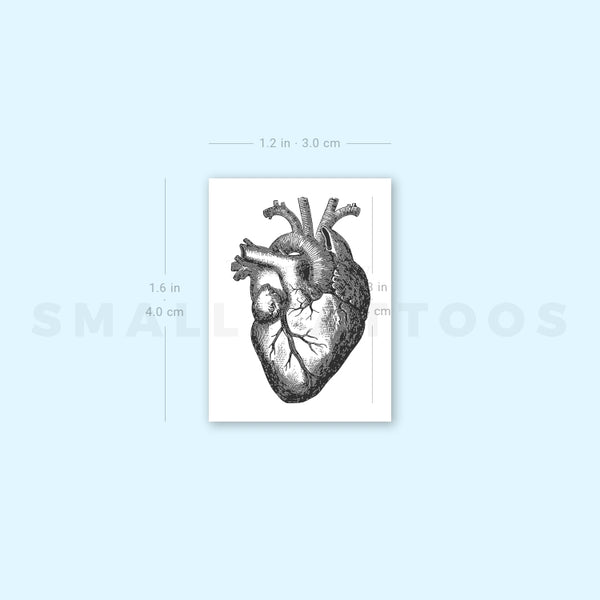 Engraving Anatomical Heart Temporary Tattoo (Set of 3)