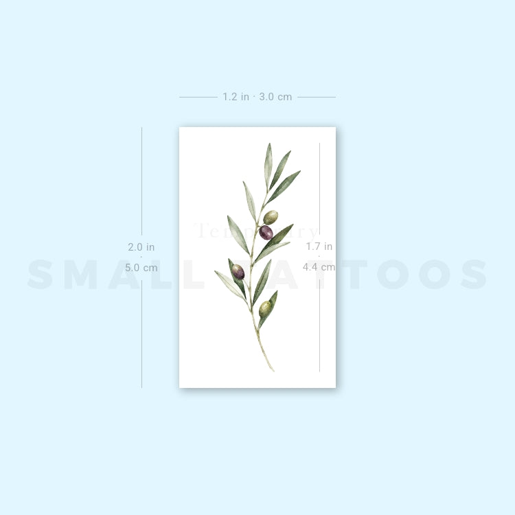 Watercolor Olive Branch Temporary Tattoo (Set of 3)