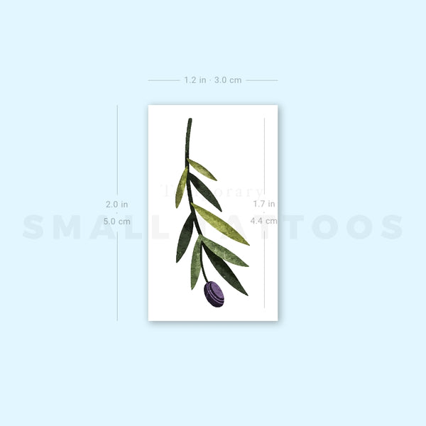 Small Olive Branch By Ann Lilya Temporary Tattoo (Set of 3)