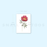 Garnet Peony Temporary Tattoo (Set of 3)