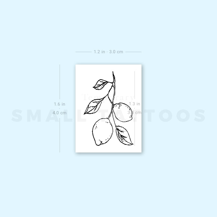 Lemon Branch Temporary Tattoo (Set of 3)