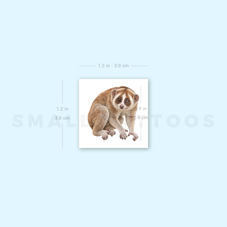 Slow Loris Temporary Tattoo (Set of 3)