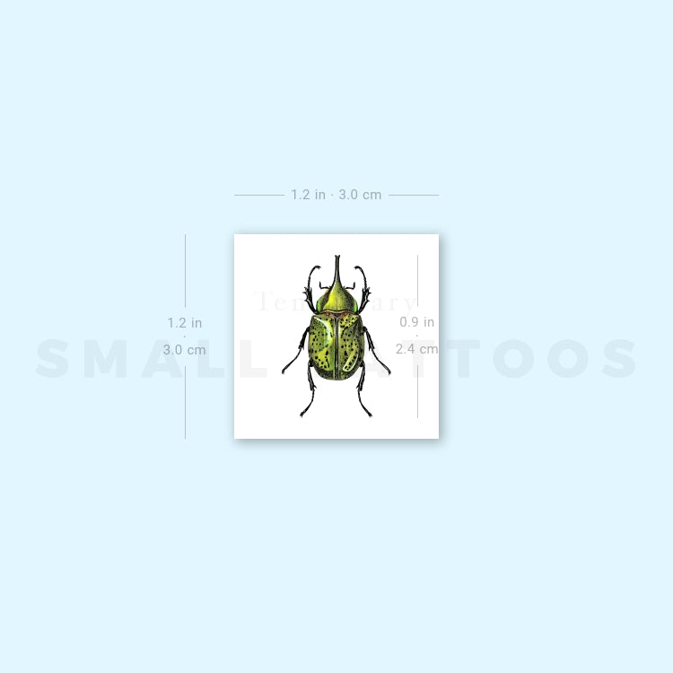 Hercules Beetle Temporary Tattoo (Set of 3)