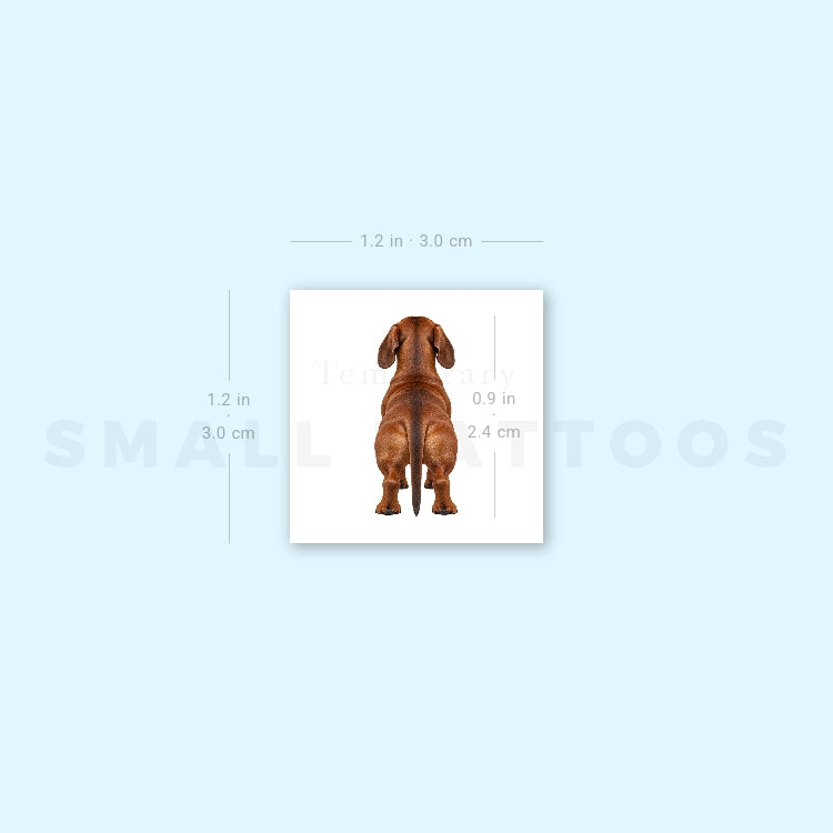 Dachshund Back View Temporary Tattoo (Set of 3)