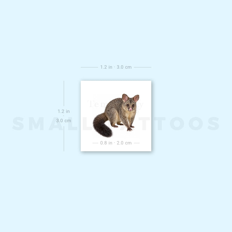 Possum Temporary Tattoo (Set of 3)