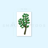 Jade Plant Temporary Tattoo (Set of 3)