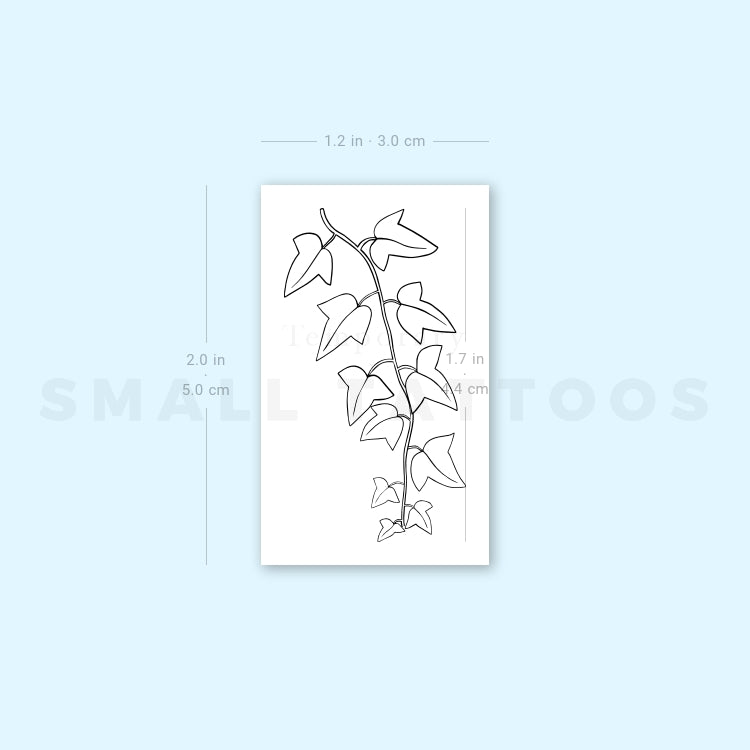 Common Ivy Plant Temporary Tattoo (Set of 3)