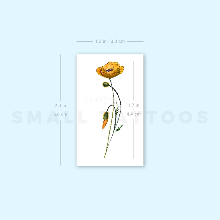 California Poppy By Lena Fedchenko Temporary Tattoo (Set of 3)