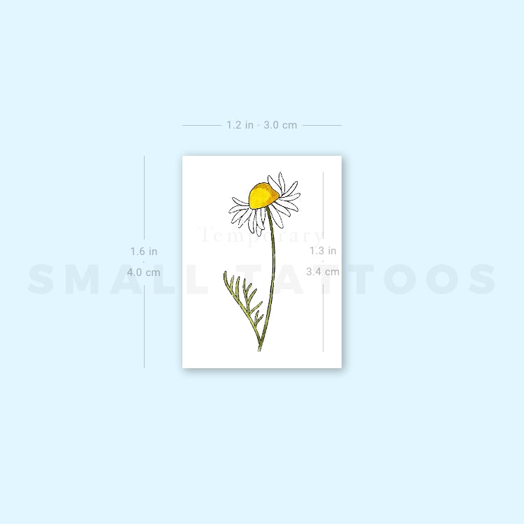 Chamomile By Ann Lilya Temporary Tattoo (Set of 3)