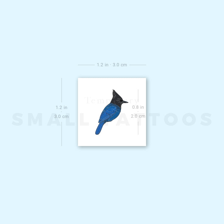 Little Steller's Jay Temporary Tattoo (Set of 3)