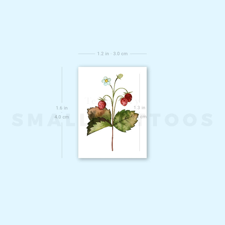 Tatuaje temporal de fresas silvestres pequeñas de Ann Lilya (juego de 3)