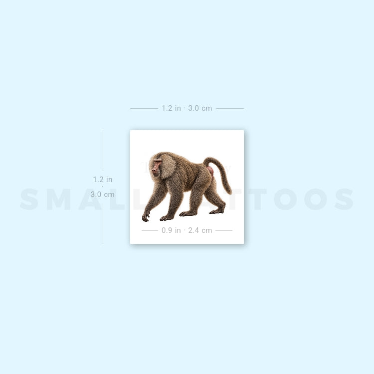 Baboon Temporary Tattoo (Set of 3)
