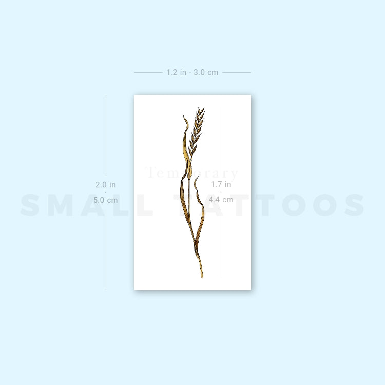 Small Wheat By Ann Lilya Temporary Tattoo (Set of 3)