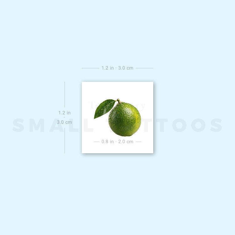 Little Lime Temporary Tattoo (Set of 3)