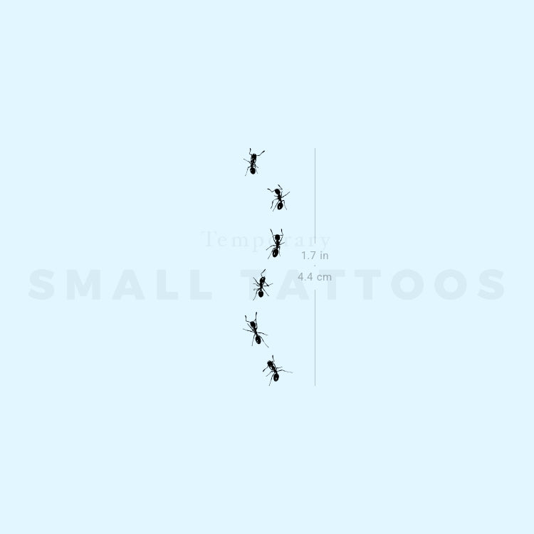 Ant Stock Temporary Tattoo (Set of 3)