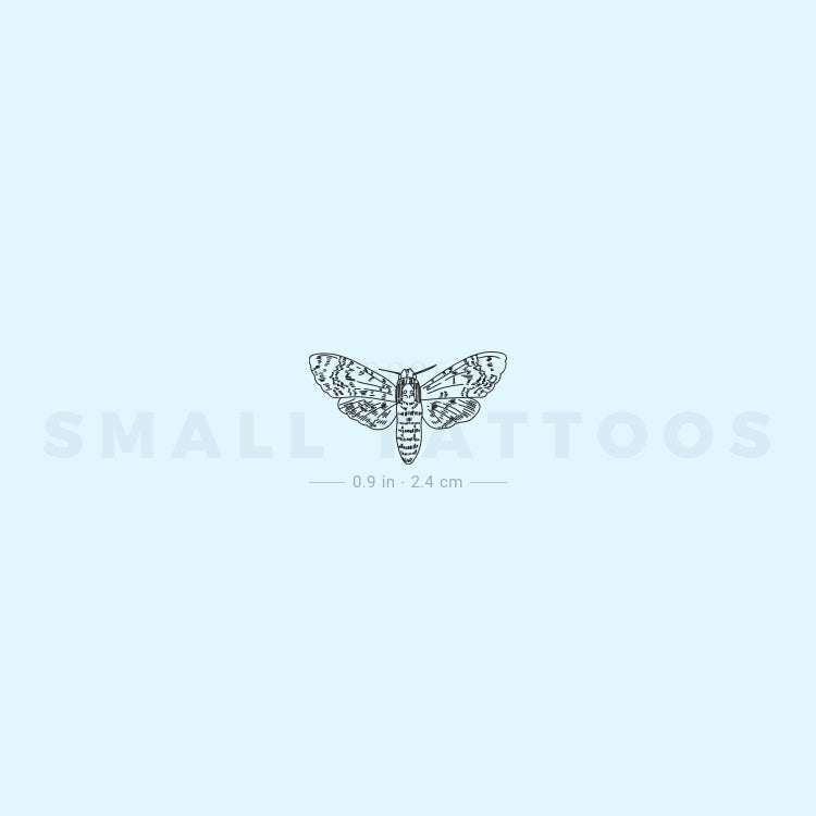 Small Moth Temporary Tattoo (Set of 3)