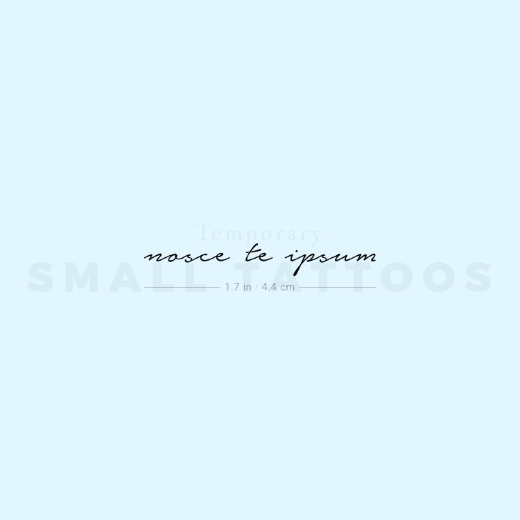 Nosce Te Ipsum Temporary Tattoo (Set of 3)