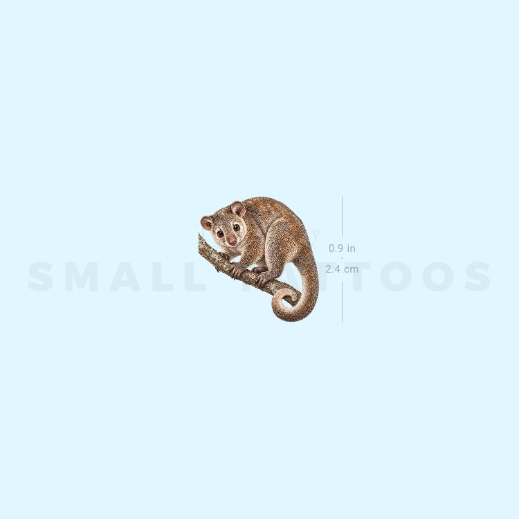 Cuscus Temporary Tattoo (Set of 3)