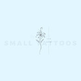 Lily Stargazer By Stefano Mazza Temporary Tattoo (Set of 3)