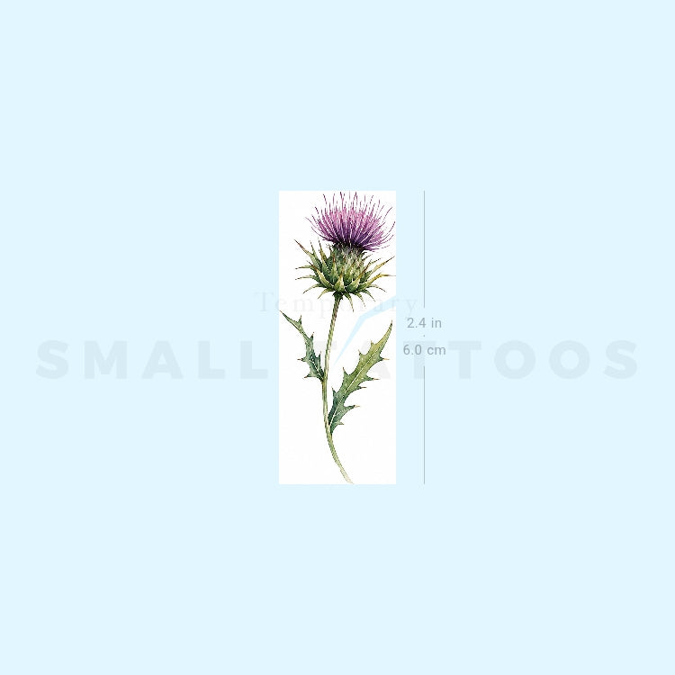 Small Watercolor Thistle Temporary Tattoo (Set of 3)