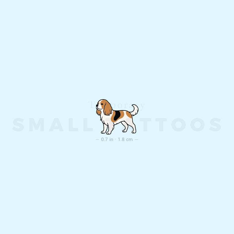 Tatuaje temporal de Cavalier King Charles Spaniel (juego de 3)