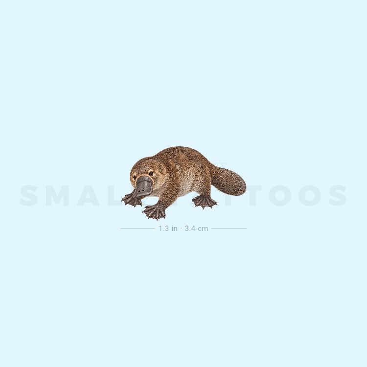 Platypus Temporary Tattoo (Set of 3)