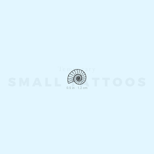 Ammonite Temporary Tattoo (Set of 3)