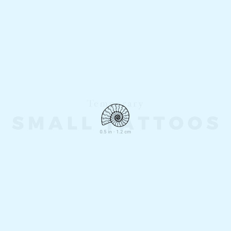 Ammonite Temporary Tattoo (Set of 3)