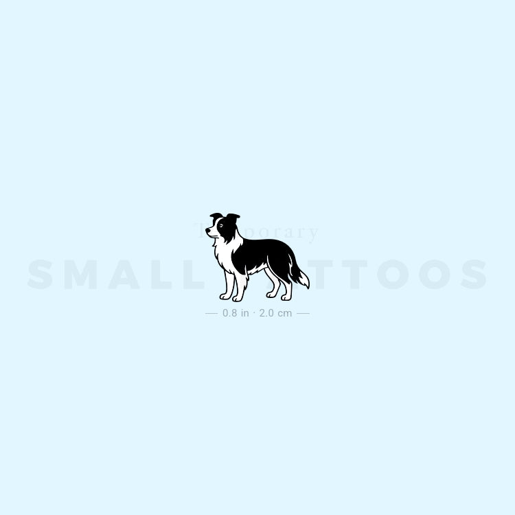 Black And White Border Collie Temporary Tattoo (Set of 3)