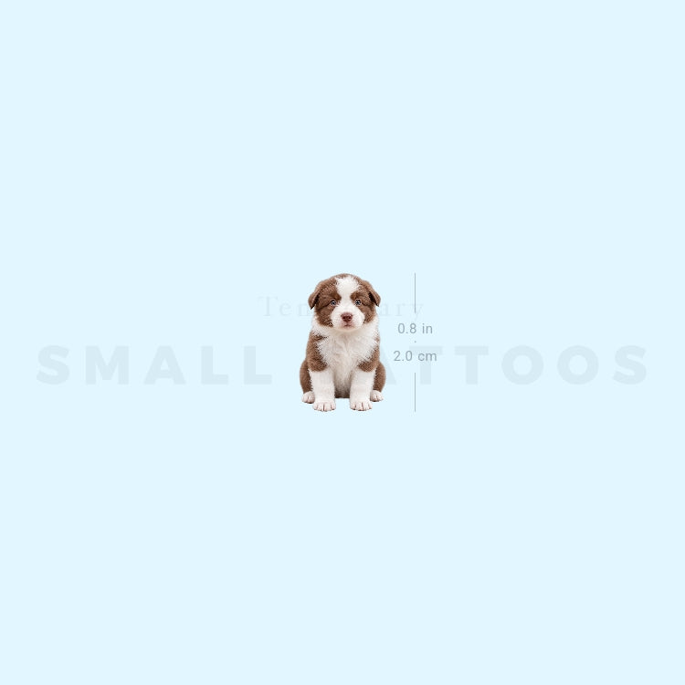 Chocolate Border Collie Puppy Temporary Tattoo (Set of 3)