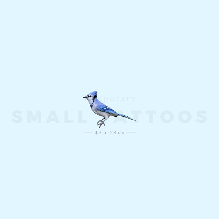 Blue Jay Temporary Tattoo (Set of 3)