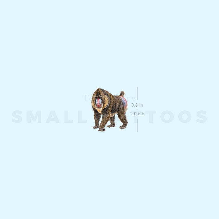 Mandrill Temporary Tattoo (Set of 3)