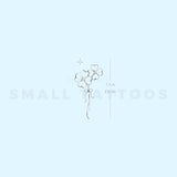 Clovers By Stefano Mazza Temporary Tattoo (Set of 3)