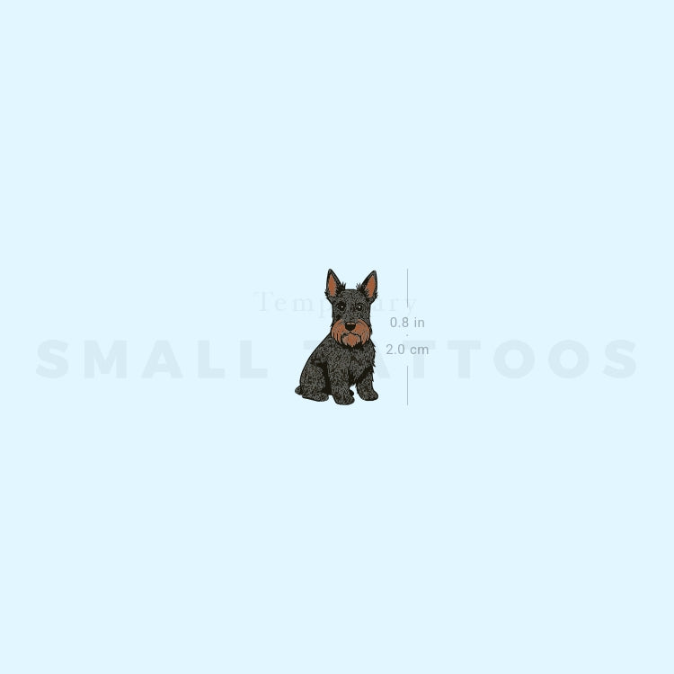 Tatuaje temporal de pequeño terrier escocés (juego de 3)