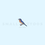 Eastern Bluebird Temporary Tattoo (Set of 3)