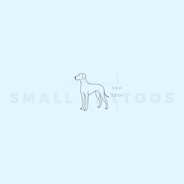 Great Dane Temporary Tattoo (Set of 3)