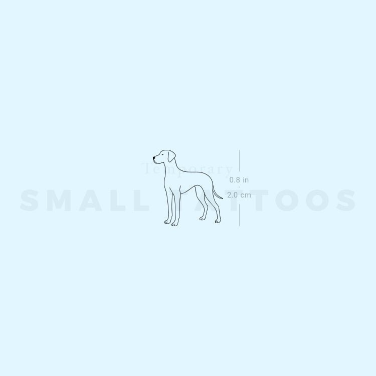 Great Dane Temporary Tattoo (Set of 3)