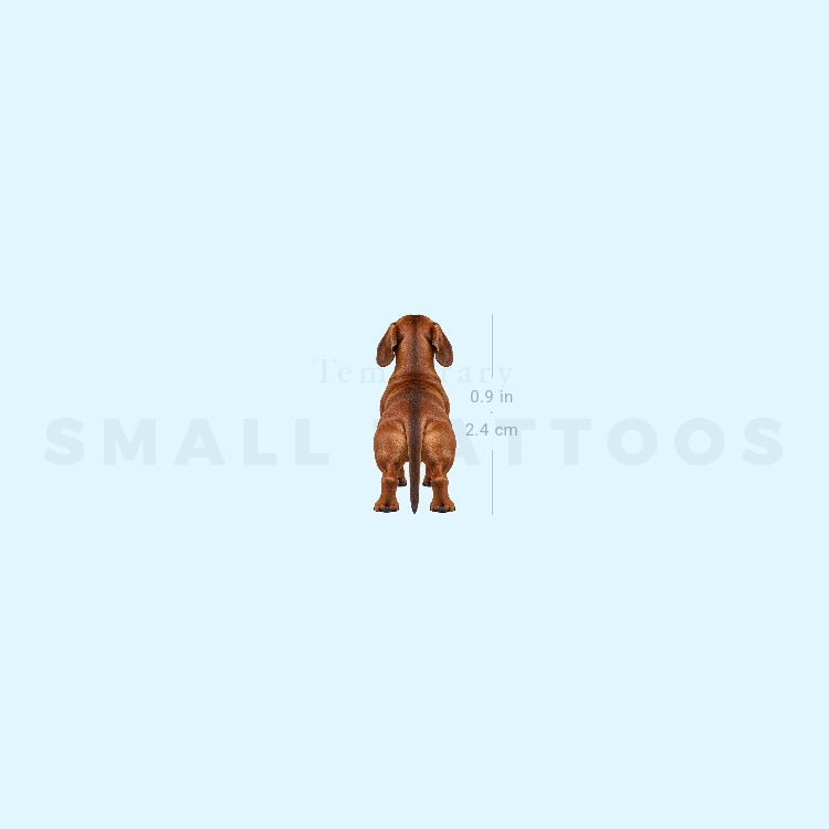 Dachshund Back View Temporary Tattoo (Set of 3)