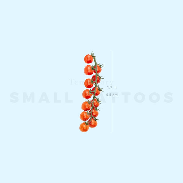 Tomato Vine Temporary Tattoo (Set of 3)