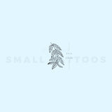Coffea Plant Temporary Tattoo (Set of 3)