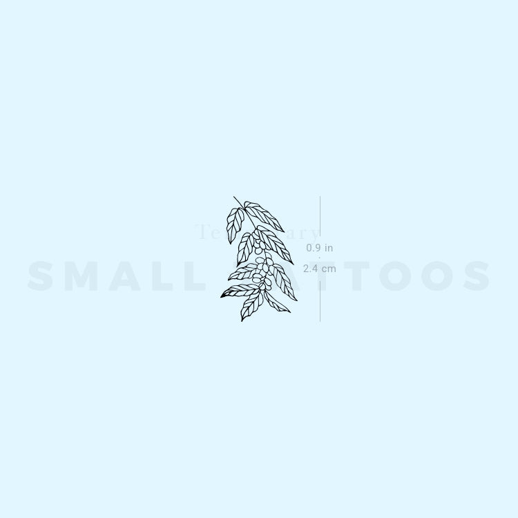 Coffea Plant Temporary Tattoo (Set of 3)
